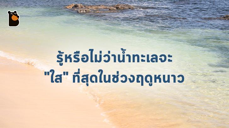 รู้หรือไม่ว่าน้ำทะเลจะ 