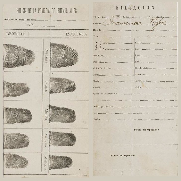 ลายนิ้วมือ (Fingerprint) คืออะไร ทำไมลายนิ้วมือคนเราต้องแตกต่างกัน ?