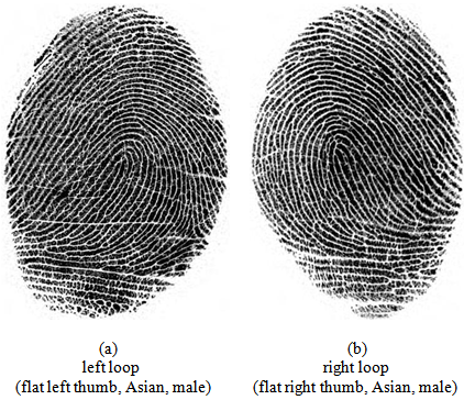 ลายนิ้วมือ (Fingerprint) คืออะไร ทำไมลายนิ้วมือคนเราต้องแตกต่างกัน ? ลายนิ้วมือ (Fingerprint) คืออะไร ทำไมลายนิ้วมือคนเราต้องแตกต่างกัน ?