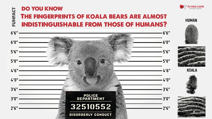 ลายนิ้วมือ (Fingerprint) คืออะไร ทำไมลายนิ้วมือคนเราต้องแตกต่างกัน ?