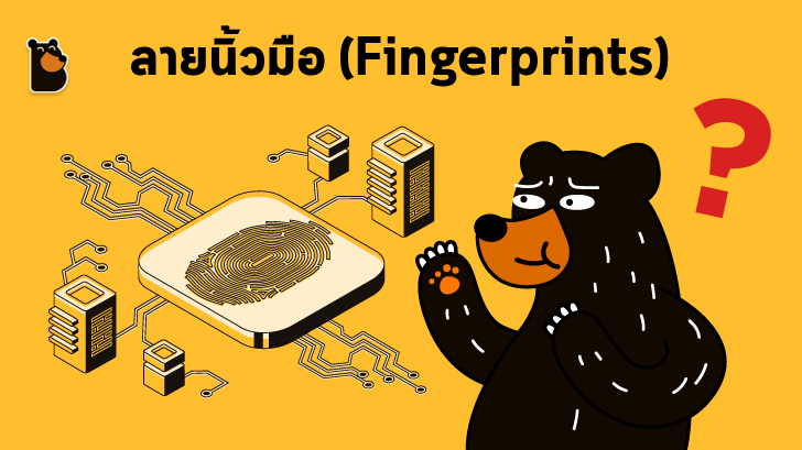 ลายนิ้วมือ (Fingerprint) คืออะไร ทำไมลายนิ้วมือคนเราต้องแตกต่างกัน ?