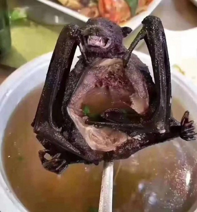 เปิดแฟ้มไวรัส "โคโรน่า-อู่ฮั่น" วัฒนธรรมก่อกำเนิดสายพันธุ์อันตราย