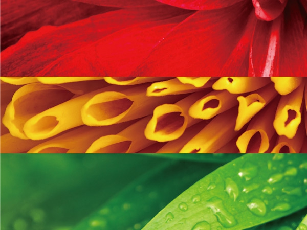 BenQ W1700M โปรเจคเตอร์ดูหนัง 4K จอยักษ์เก๋ๆ 