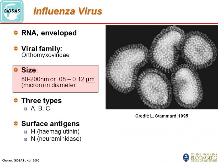 ขนาดของไวรัส แบคทีเรีย และฝุ่น กับประสิทธิภาพการกรอง ของเครื่องฟอกอากาศ และหน้ากากอนามัย