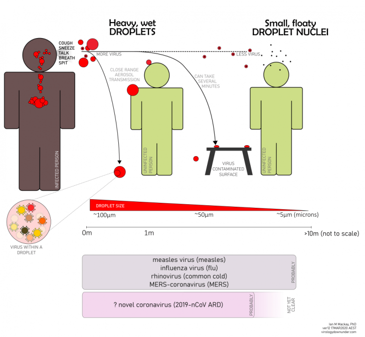 ขนาดของไวรัส แบคทีเรีย และฝุ่น กับประสิทธิภาพการกรอง ของเครื่องฟอกอากาศ และหน้ากากอนามัย