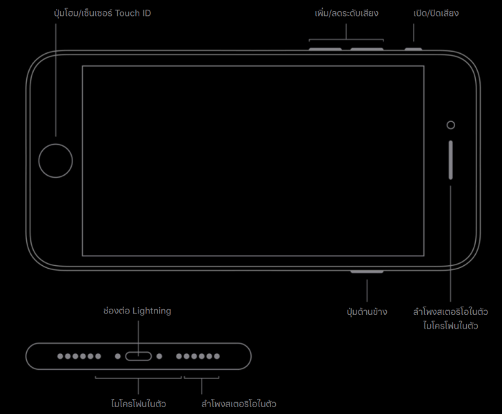 iPhone SE รุ่นที่ 2 กับ iPhone 11 รุ่นไหนน่าซื้อกว่ากัน เปรียบเทียบสเปกกันชัดๆ ?