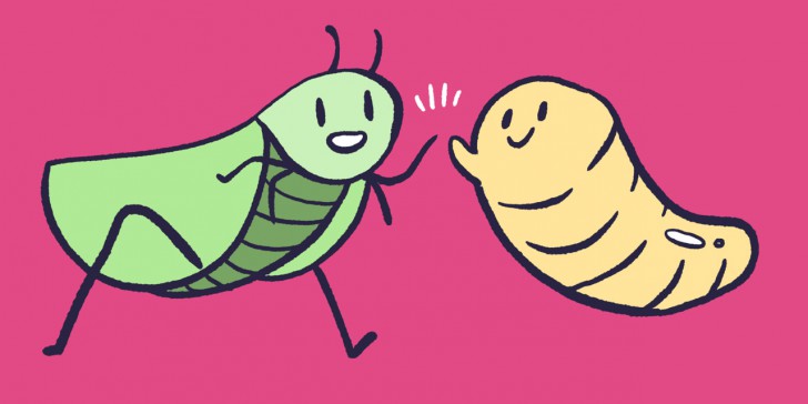 กินแมลงเป็นอาหาร ? แมลงอาหารยุคใหม่ แหล่งโปรตีนแห่งโลกอนาคต (อันใกล้)