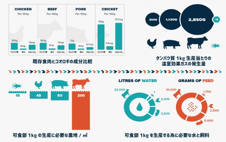กินแมลงเป็นอาหาร ? แมลงอาหารยุคใหม่ แหล่งโปรตีนแห่งโลกอนาคต (อันใกล้)