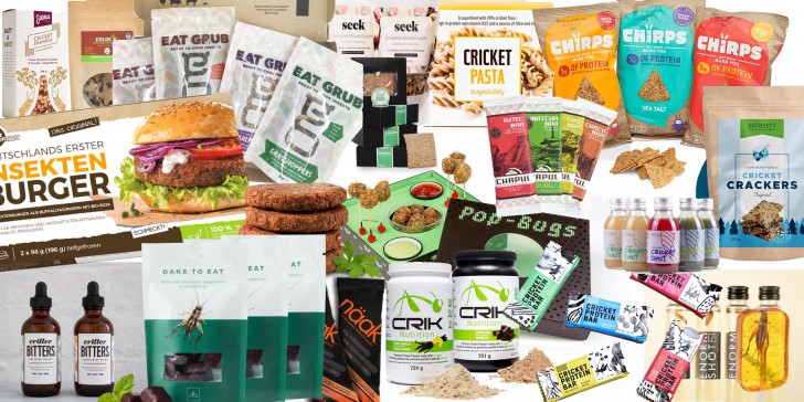 กินแมลงเป็นอาหาร ? แมลงอาหารยุคใหม่ แหล่งโปรตีนแห่งโลกอนาคต (อันใกล้)