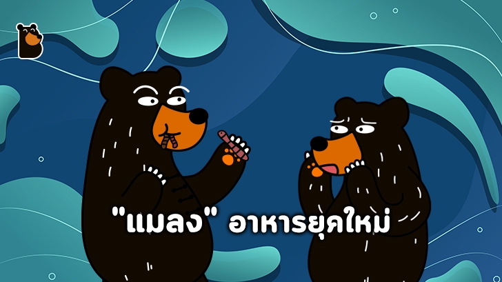 กินแมลงเป็นอาหาร ? แมลงอาหารยุคใหม่ แหล่งโปรตีนแห่งโลกอนาคต (อันใกล้)