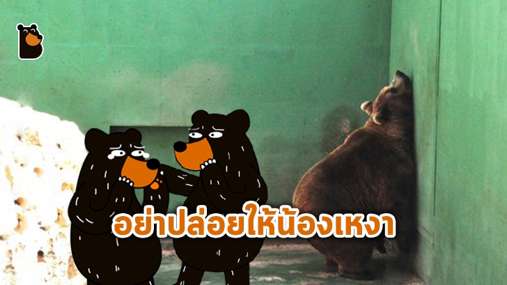 สวนสัตว์ และอควาเรียม จัดการกับสัตว์น้อยใหญ่อย่างไร ในช่วง COVID-19