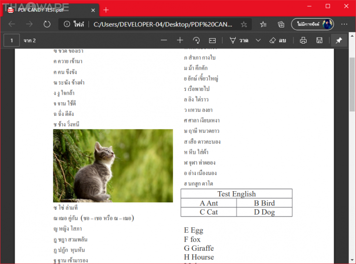 PDF Candy โปรแกรมแปลงไฟล์ PDF พร้อมเครื่องมือจัดการ PDF สุดครบเครื่อง