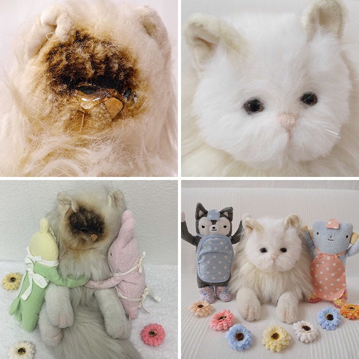 โรงพยาบาลรักษาตุ๊กตาเน่า ชุบชีวิตตุ๊กตาตัวโปรด ด้วยการนำไปหาแพทย์เฉพาะทาง ได้แล้วนะ