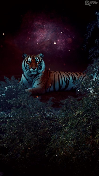 Photoshop Camera แอปกล้อง AI สุดเทพจาก Adobe รีทัชภาพให้แบบเรียลไทม์ราวกับเวทมนตร์