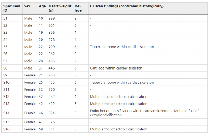 นักวิจัยพบ "กระดูกหัวใจ" ในลิงชิมแปนซี และไม่แน่ว่ามนุษย์ (บางคน) ก็อาจมีกระดูกหัวใจด้วย !