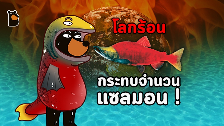 อุณหภูมิน้ำสูงขึ้นจากภาวะโลกร้อนกระทบต่อปริมาณแซลมอน Sockeye ใน Alaska