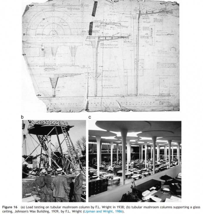 Apple Store เซ็นทรัลเวิลด์ กรุงเทพ กับการออกแบบ และ สถาปัตยกรรม Tree Canopy