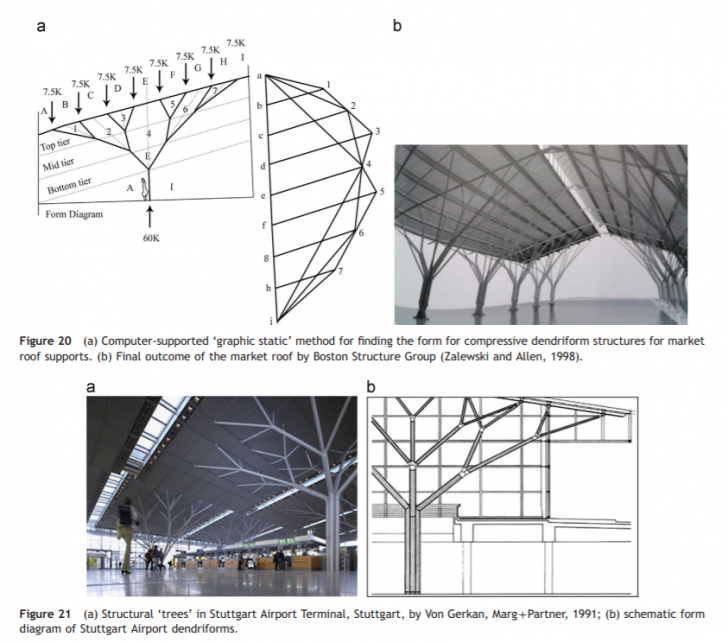 Apple Store เซ็นทรัลเวิลด์ กรุงเทพ กับการออกแบบ และ สถาปัตยกรรม Tree Canopy