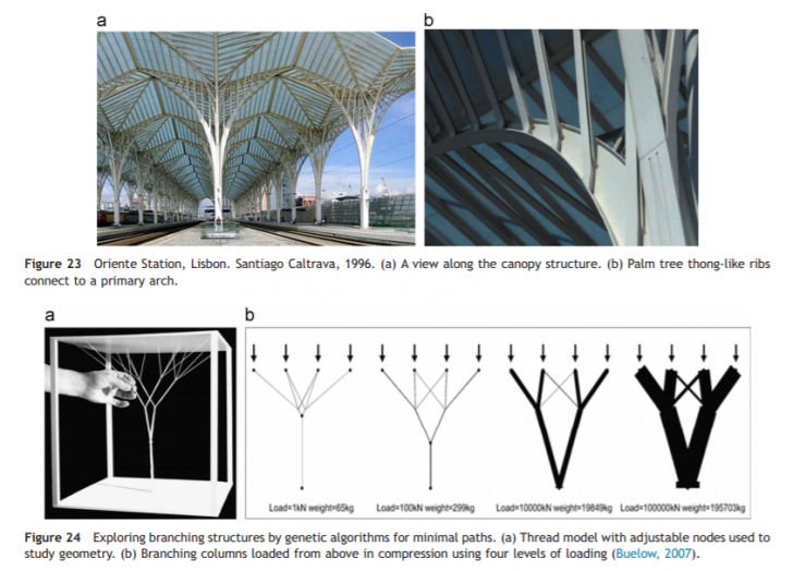 Apple Store เซ็นทรัลเวิลด์ กรุงเทพ กับการออกแบบ และ สถาปัตยกรรม Tree Canopy