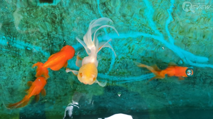 Samsung Note20 Ultra สัมผัสประสบการณ์ Power Phone ตัวท็อป พร้อมใช้งานได้จริงใน 1 วัน !