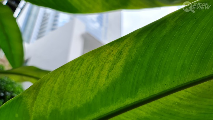 Samsung Note20 Ultra สัมผัสประสบการณ์ Power Phone ตัวท็อป พร้อมใช้งานได้จริงใน 1 วัน !