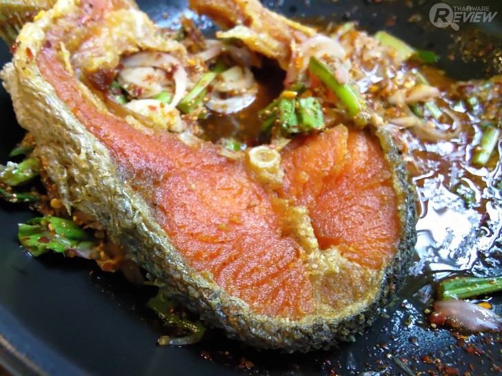 มือถือ ROG Phone 3 เกมมิ่งสมาร์ทโฟนที่พร้อมรับทุกคำท้า เล่นเกมมันกว่า สนุกได้มากกว่า