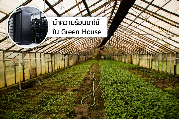 อินเทอร์เน็ตที่เราใช้อยู่ ทำร้ายโลกเราอย่างไร ?