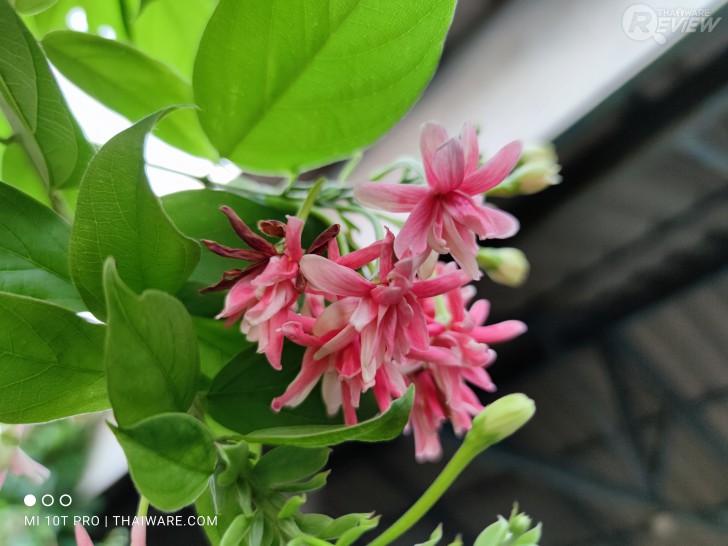 มือถือ Mi 10T Pro 5G ตัวแทนแห่งความคุ้มค่าประจำปี 2020!