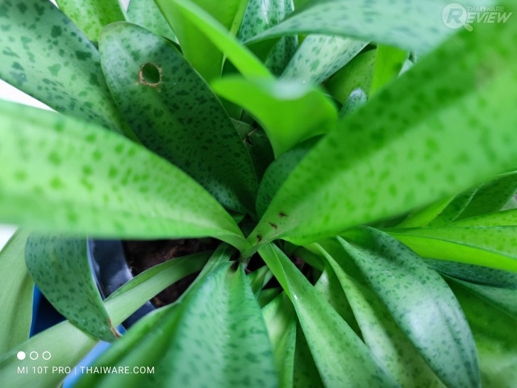 มือถือ Mi 10T Pro 5G ตัวแทนแห่งความคุ้มค่าประจำปี 2020!