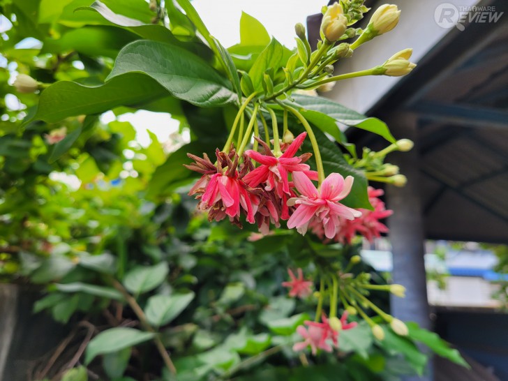 มือถือ Samsung Galaxy S20 FE 5G สุดยอดขบวนการ 6 สีที่ครบเครื่องทุกฟีเจอร์