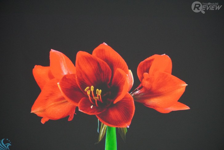 โปรเจคเตอร์ BenQ W5700 สัมผัสอรรถรสแบบโรงหนังส่วนตัว ในราคาที่เอื้อมถึง