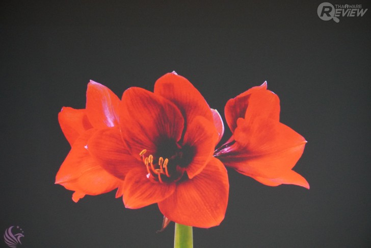 โปรเจคเตอร์ BenQ W5700 สัมผัสอรรถรสแบบโรงหนังส่วนตัว ในราคาที่เอื้อมถึง