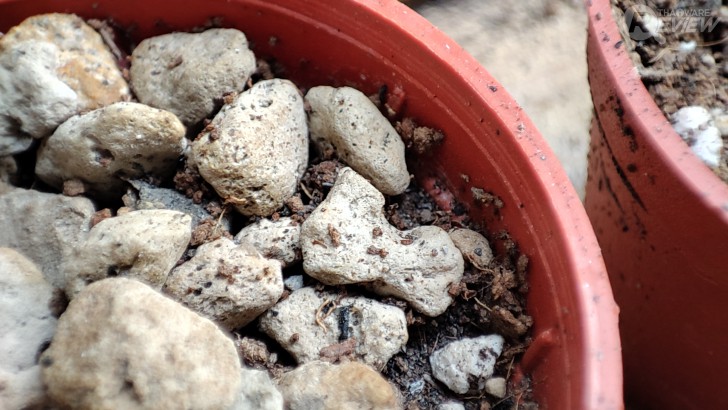 Mi 11 สุดยอดแห่งการถ่ายวิดีโอด้วยมือถือ พร้อมตัวอย่างวิดีโอถ่ายทำจริง