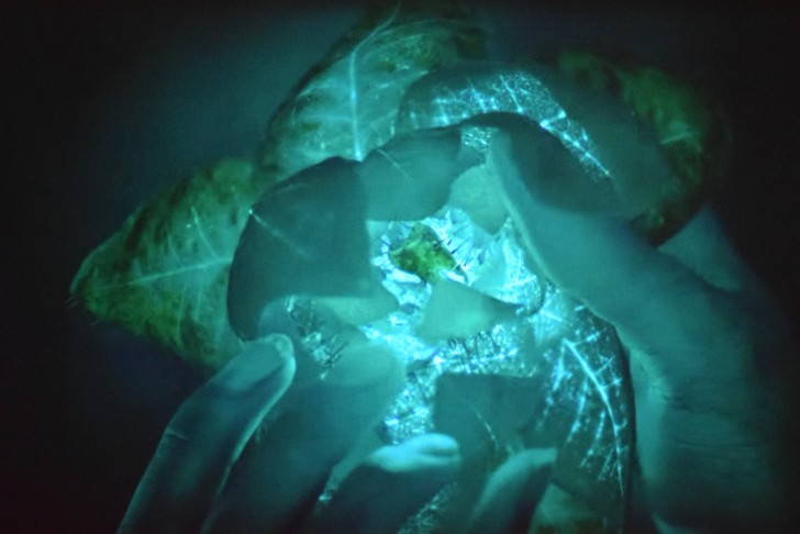 โปรเจคเตอร์ BenQ W2700i