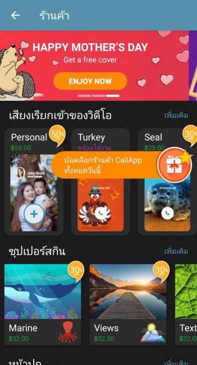 Theme (ธีมการใช้งาน)