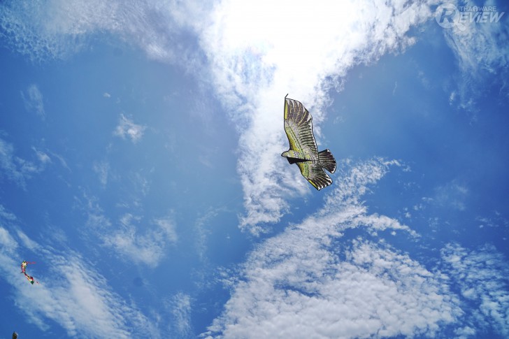 ตัวอย่างภาพที่แต่งจากโปรแกรม