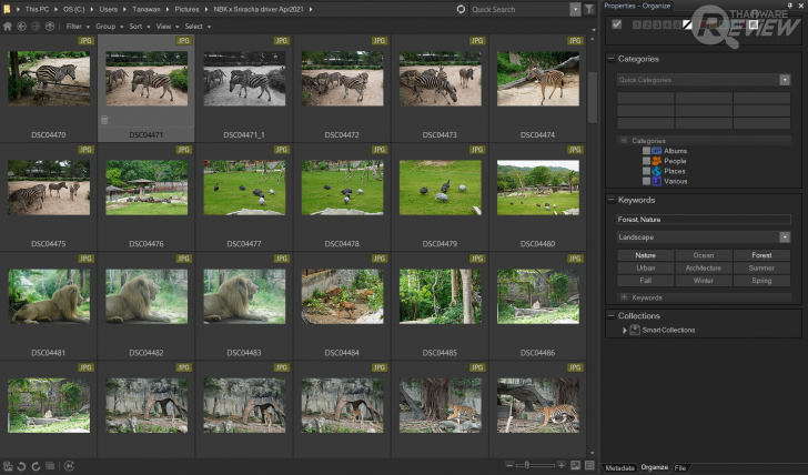 เมนู Metadata