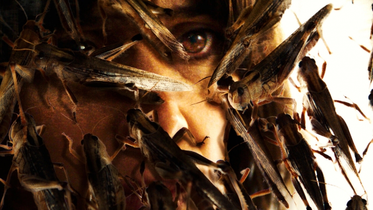 หนัง ภาพยนตร์ The Swarm ตั๊กแตนเลือด