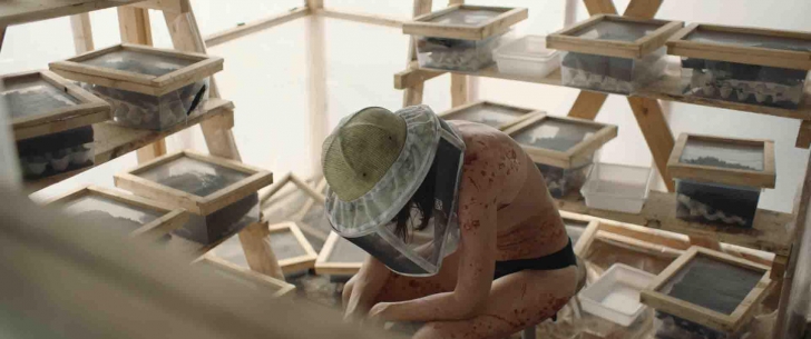 หนัง ภาพยนตร์ The Swarm ตั๊กแตนเลือด