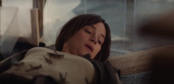 หนัง ภาพยนตร์ The Swarm ตั๊กแตนเลือด