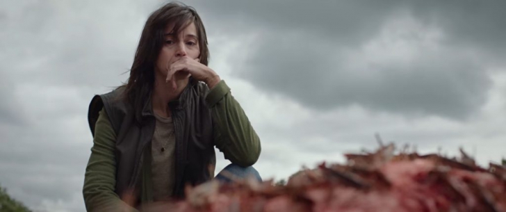 หนัง ภาพยนตร์ The Swarm ตั๊กแตนเลือด