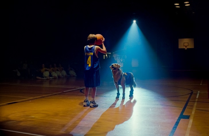 ภาพจากใน หนัง ภาพยนตร์ Air Bud
