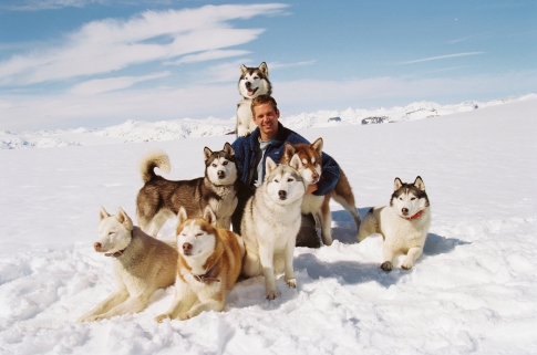 Paul Walker และเหล่าสุนัขใน หนัง ภาพยนตร์ Eight Below