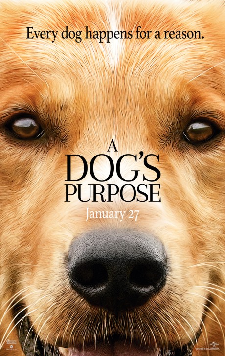 โปสเตอร์ หนัง ภาพยนตร์ A Dog's Purpose