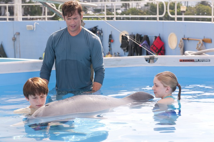 ภาพจาก หนัง ภาพยนตร์ Dolphin Tale
