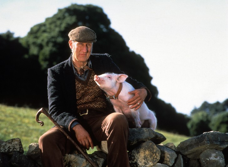 James Cromwell และ Christine Cavanaugh (ผู้ให้เสียงพากย์ Babe) ใน หนัง ภาพยนตร์ Babe