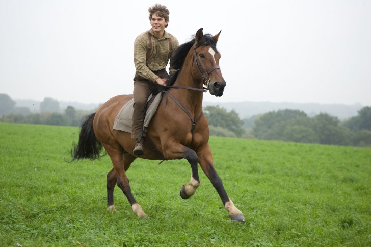 Jeremy Irvine และม้าจากใน หนัง ภาพยนตร์ War Horse