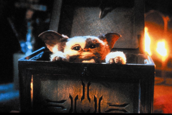 Mogwai จากหนัง ภาพยนตร์ Gremlins