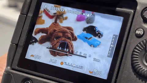 ระบบออโต้โฟกัสตรวจจับสัตว์ (Animal Priority)