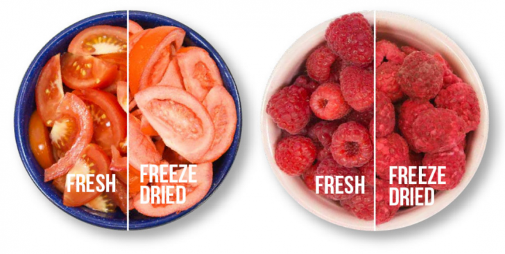 อาหารแห้งแบบแช่แข็ง (Freeze Drying Food)